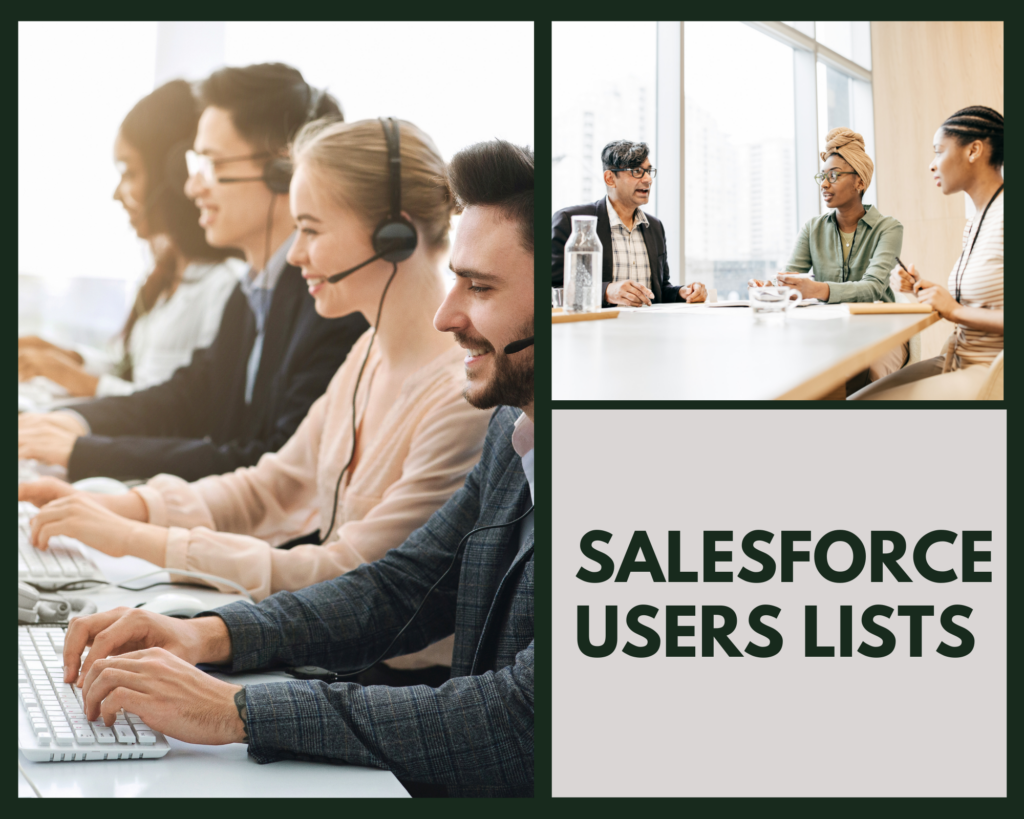 SalesForce Users Email Lists & Mailing Lists