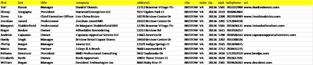 This is an example of a SalesForce Users List in an excel / .csv file format. 