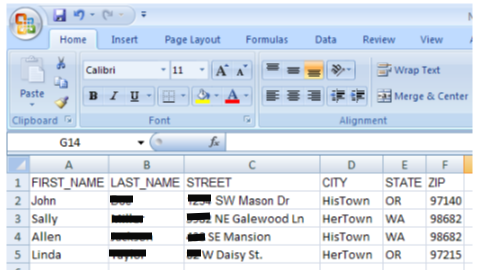 Consumer Mailing Lists in .xls and .csv file format